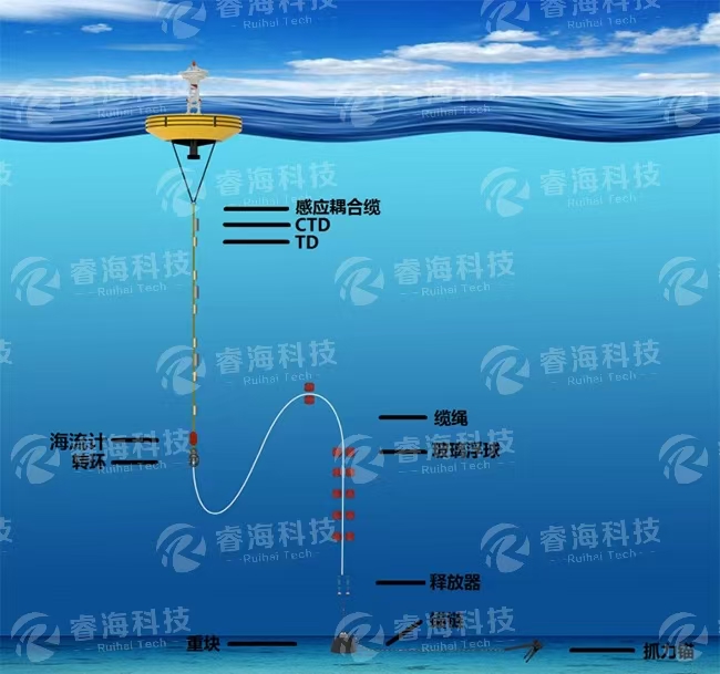 微信圖片_20250225165822 微信圖片_20250225165822